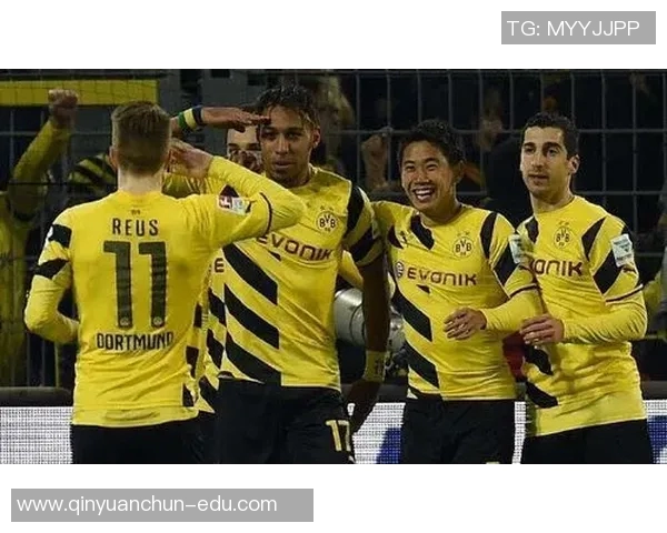 多特蒙德与费雷堡对决前瞻分析及胜负预测解析