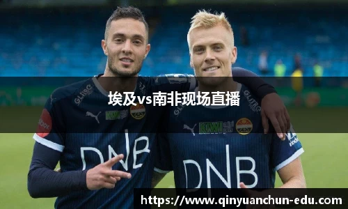 埃及vs南非现场直播