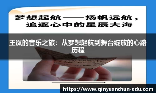 王岚的音乐之旅：从梦想起航到舞台绽放的心路历程