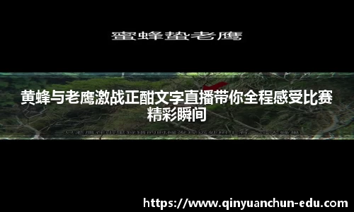黄蜂与老鹰激战正酣文字直播带你全程感受比赛精彩瞬间