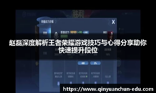 赵磊深度解析王者荣耀游戏技巧与心得分享助你快速提升段位