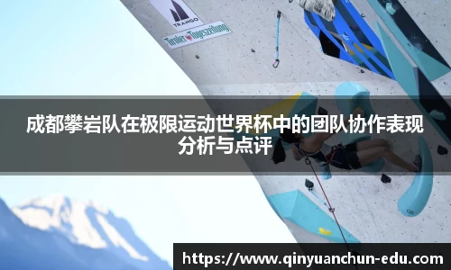 成都攀岩队在极限运动世界杯中的团队协作表现分析与点评
